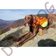 Dog Trace, S méretű GPS kutyamellény