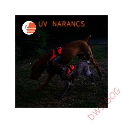 Nullás méretű, UV Narancs IDC kutyahám