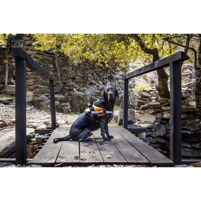 3XS méretű, Kék IDC POWAIR kutyahám