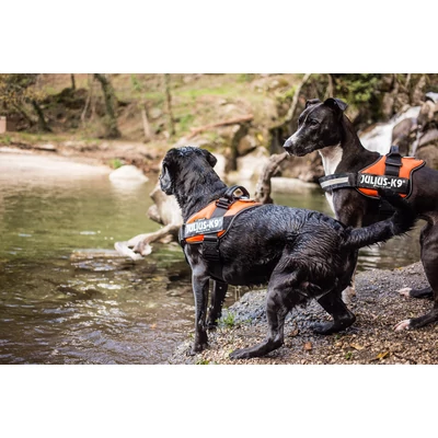 3XS méretű, Kék IDC POWAIR kutyahám