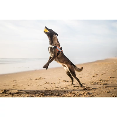 3XS méretű, Kék IDC POWAIR kutyahám