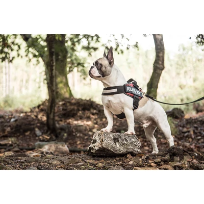 3XS méretű, Kék IDC POWAIR kutyahám